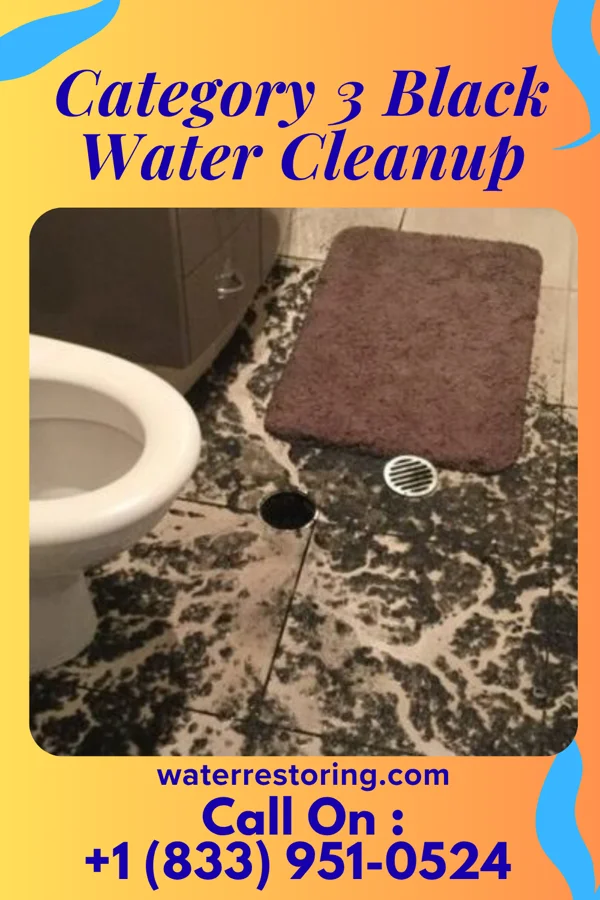 Category 3 Black Water Cleanup in Trego-Rohrersville Station, MD