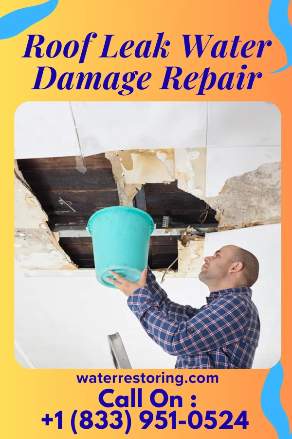 Roof Leak Water Damage Repair in Trego-Rohrersville Station, MD