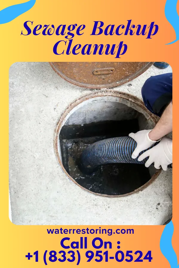 Sewage Backup Cleanup in Trego-Rohrersville Station, MD