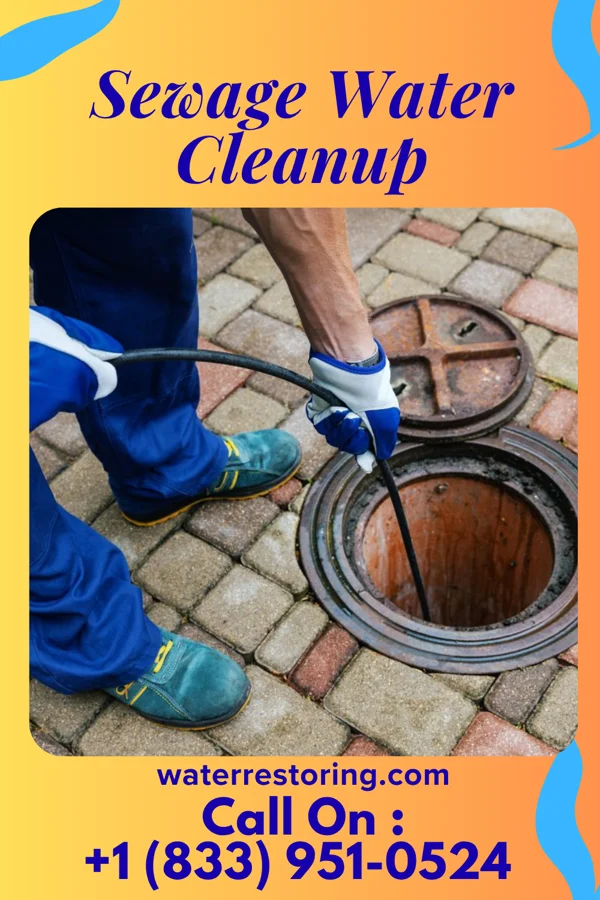 Sewage Water Cleanup in Trego-Rohrersville Station, MD